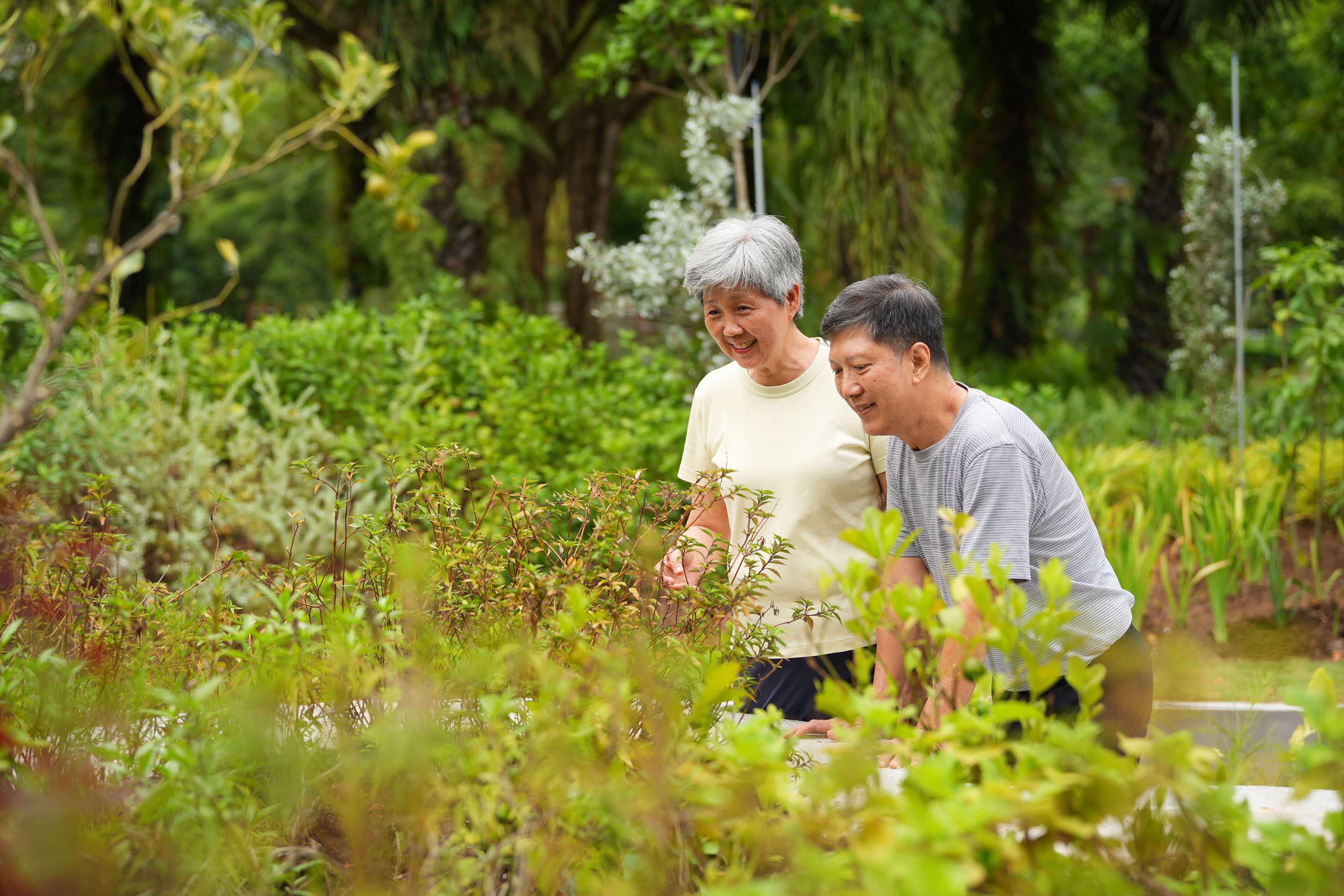 Photo of 2 person looking at plants in a garden